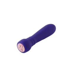 FemmeFunn Booster Bullet Powerful Silicone Vibrator -Sex Specialty Store a5cc2d78f60efa727507d9fe25ca8d73af89692ce8109391fc82dd86c2e8e8bc