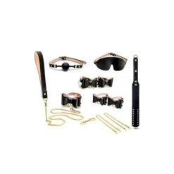 Blush Temptasia Safe Word Vegan Leather 10 Piece Bow Tie Detail Bondage Kit With Locking Suitcase