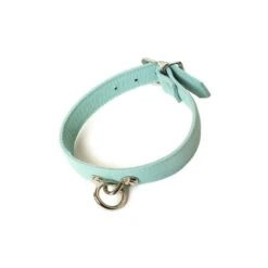 Zoë Ligon X The Stockroom Limited Edition Premium Garment Leather Collar