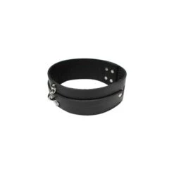 KinkLab Bondage Basics Leather Collar