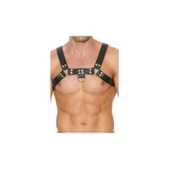 Shots Ouch Bulldog Chest Harness