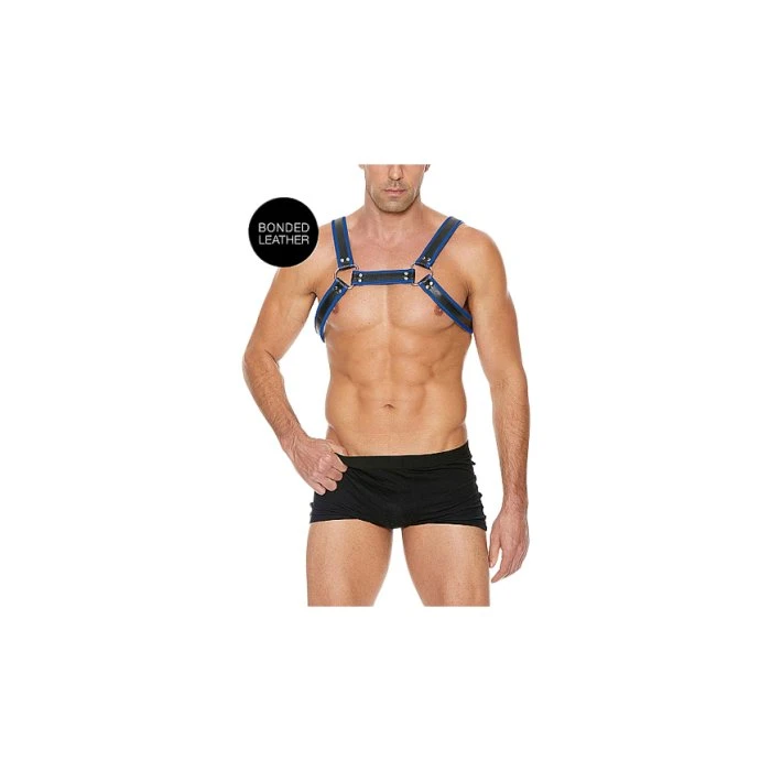 Shots Ouch Bulldog Chest Harness Blue And Black - Image 2