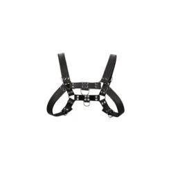 Shots Ouch Bulldog Chest Harness -Sex Specialty Store ouch bulldog chest harness main spectrum boutique 1