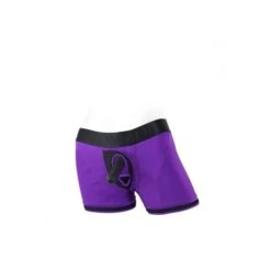 SpareParts Tomboii Brief Style Harness -Sex Specialty Store spareparts tomboii brief 4 purple spectrum boutique 4